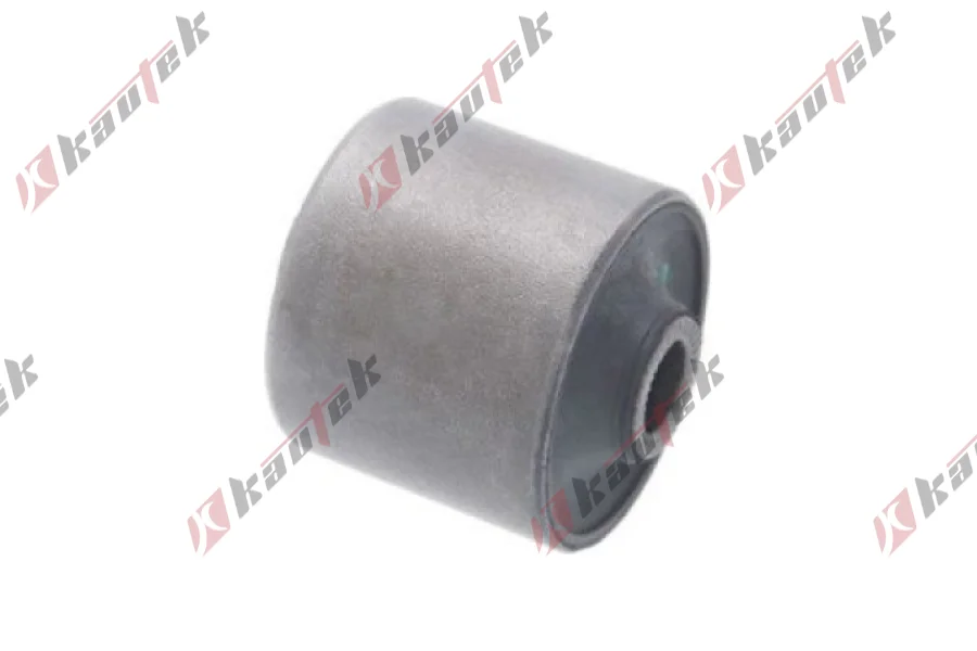 SALINCAK DENGE KOL BURCU, ARKA