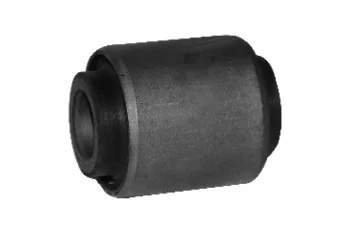 SALINCAK BURCU, ARKA