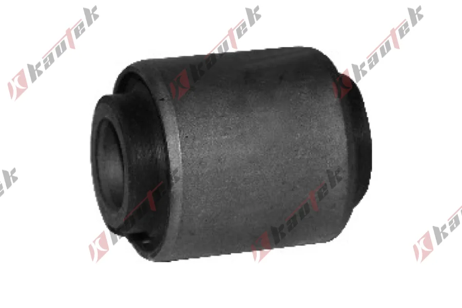 SALINCAK BURCU, ARKA