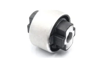 SALINCAK BURCU BUYUK