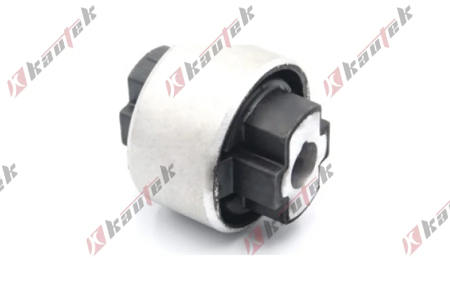 SALINCAK BURCU BUYUK