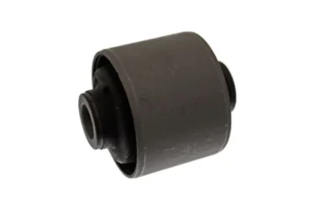 SALINCAK - DENGE KOLU BURCU, ARKA SAG / SOL