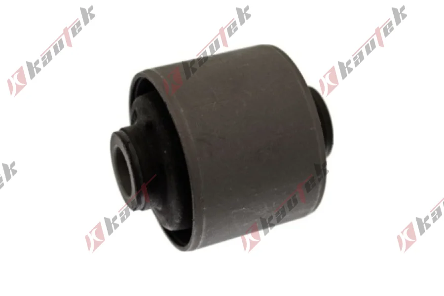 SALINCAK - DENGE KOLU BURCU, ARKA SAG / SOL