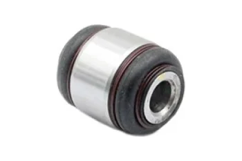 SALINCAK DENGE KOL BURCU, ARKA