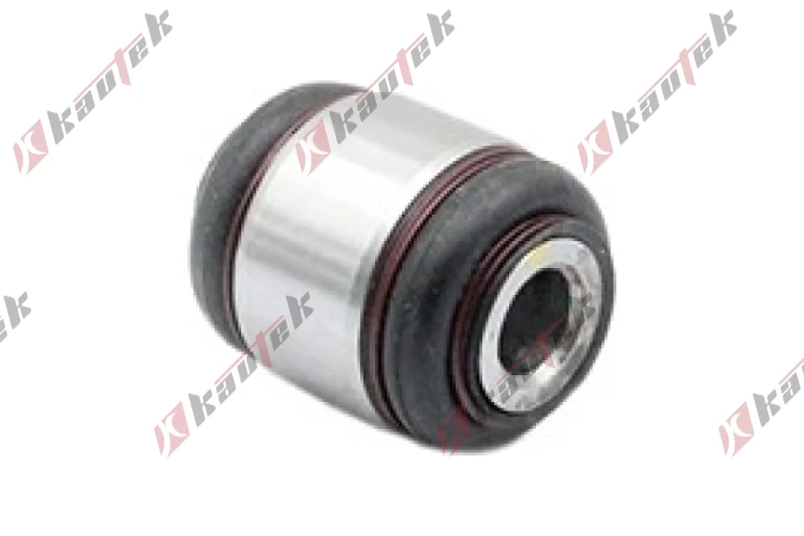 SALINCAK DENGE KOL BURCU, ARKA