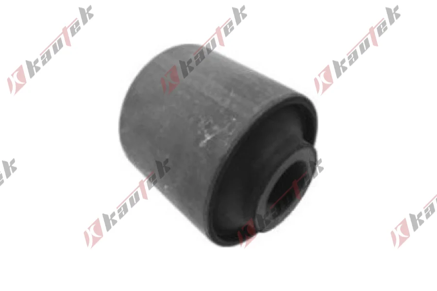 SALINCAK DENGE KOL BURCU, ARKA UST