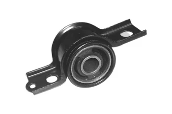 SALINCAK BURCU BUYUK SAG