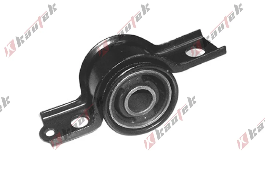 SALINCAK BURCU BUYUK SAG