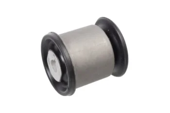 SALINCAK DENGE KOL BURCU