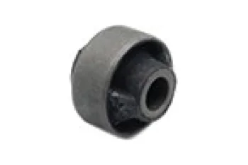 SALINCAK BURCU ARKA BUYUK