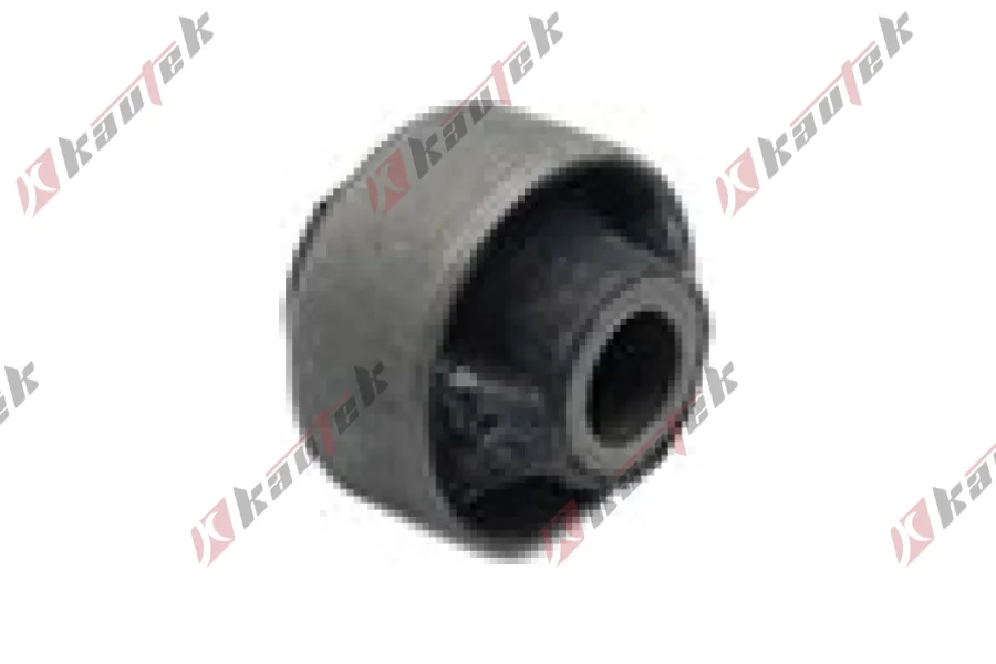 SALINCAK BURCU ARKA BUYUK