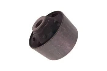 SALINCAK BURCU, SOL/SAG ON