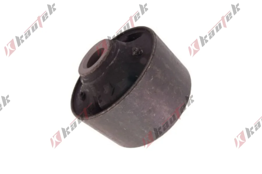 SALINCAK BURCU, SOL/SAG ON