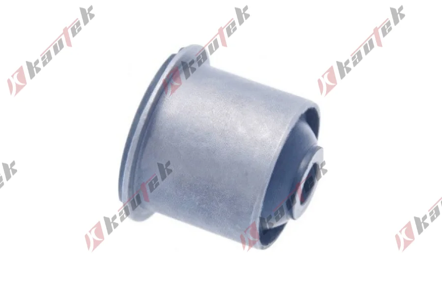 SALINCAK DENGE KOL BURCU, ARKA