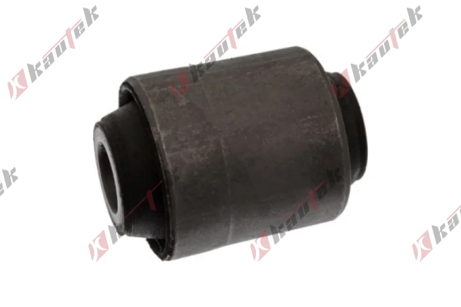 SALINCAK - DENGE KOLU BURCU, ARKA SAG / SOL