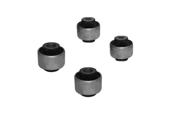 SALINCAK BURCU TAKIMI