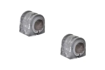 SALINCAK BURCU, ARKA BUYUK, SET