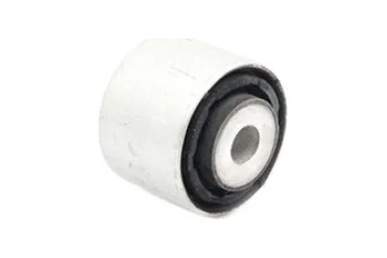 SALINCAK BURCU ARKA IC