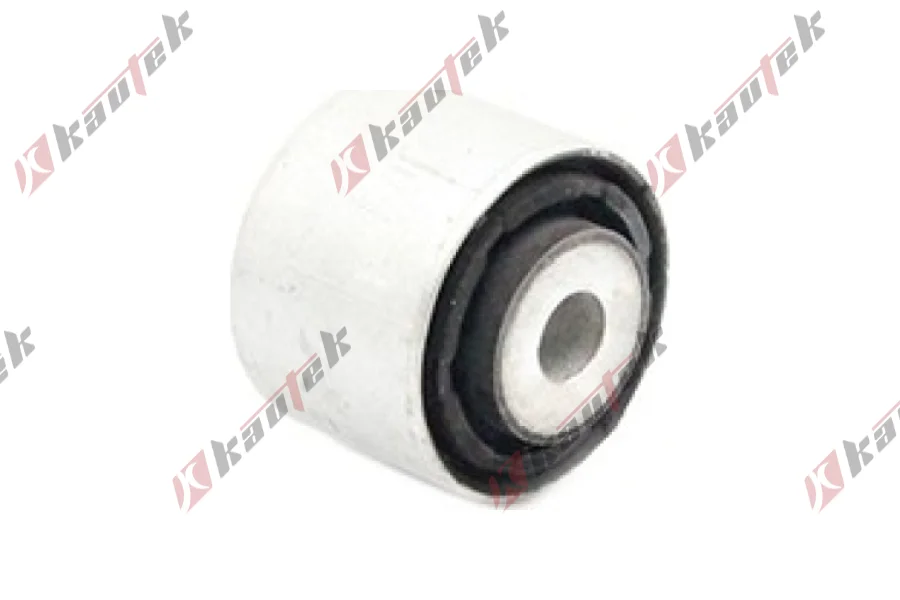 SALINCAK BURCU ARKA IC