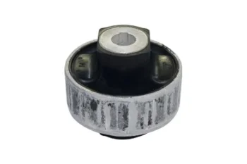 SALINCAK BURCU BUYUK