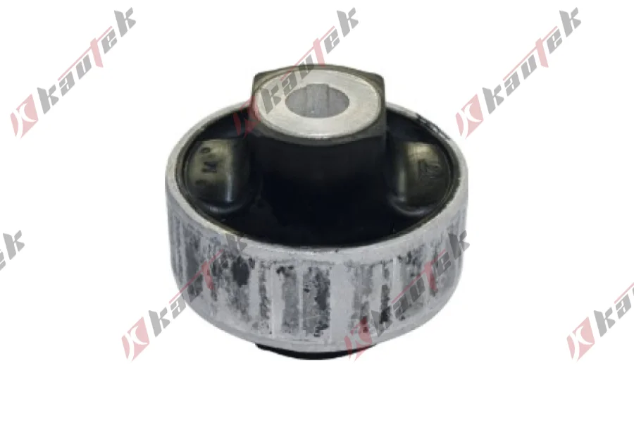 SALINCAK BURCU BUYUK