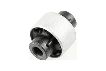 SALINCAK BURCU BUYUK