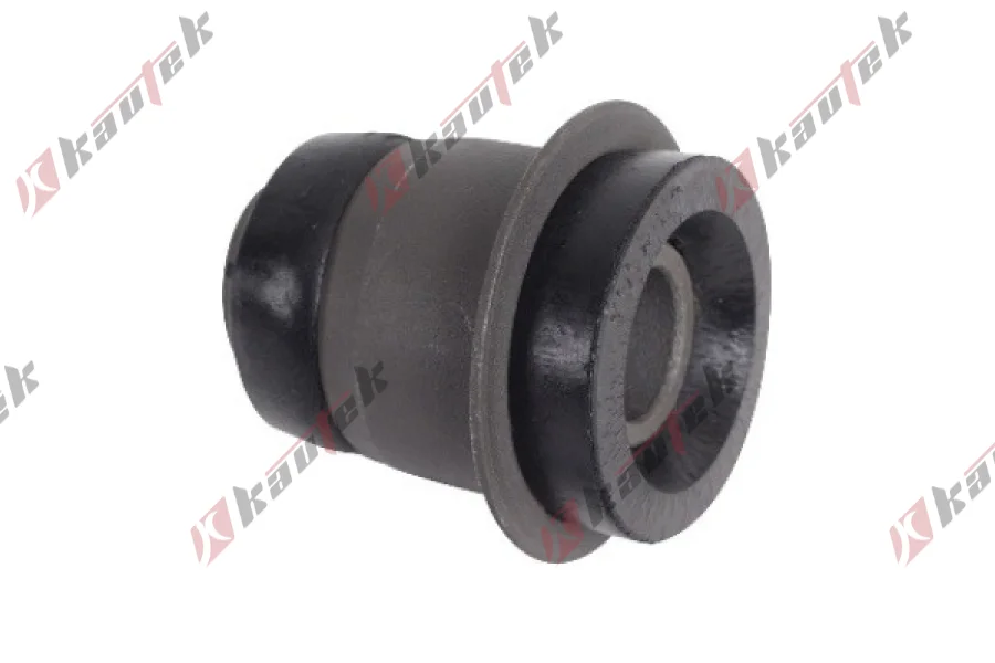 SALINCAK DENGE KOL BURCU, ARKA