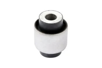 SALINCAK - DENGE KOLU BURCU, ARKA