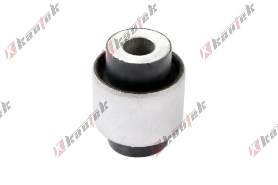 SALINCAK - DENGE KOLU BURCU, ARKA