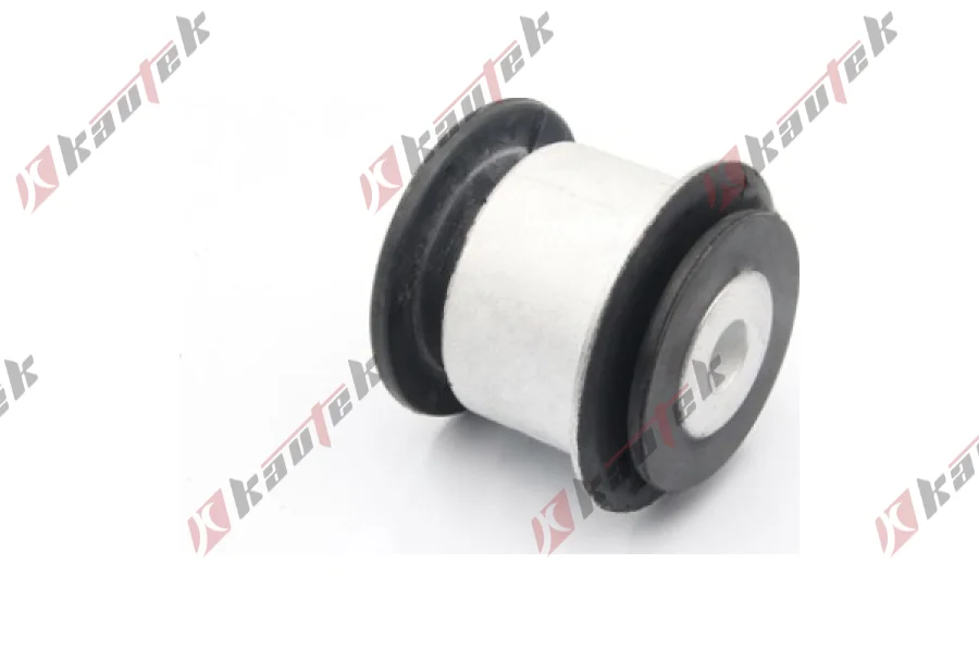 SALINCAK BURCU, ON ALT IC