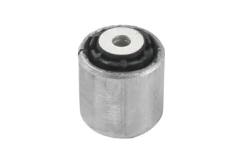 SALINCAK DNGE KOL BURCU