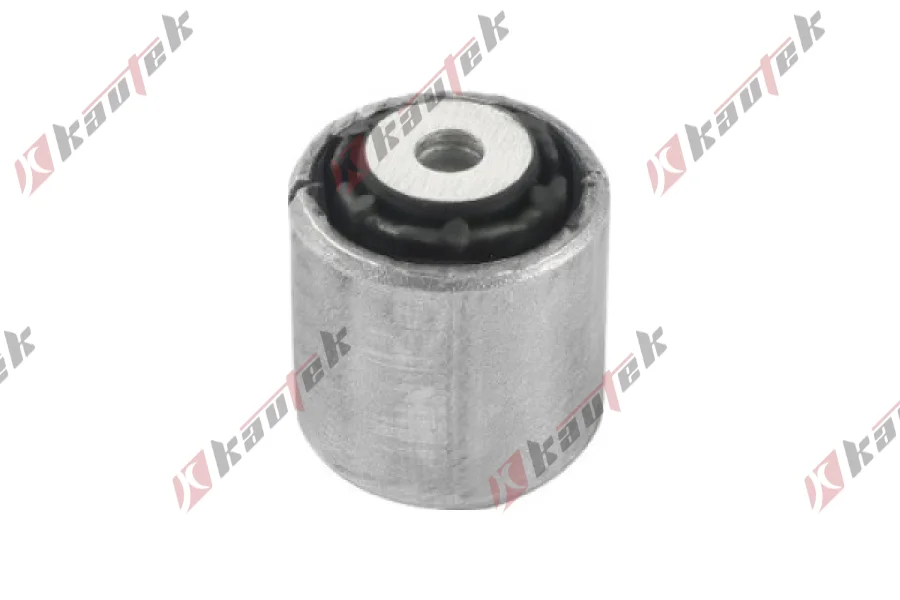 SALINCAK DNGE KOL BURCU