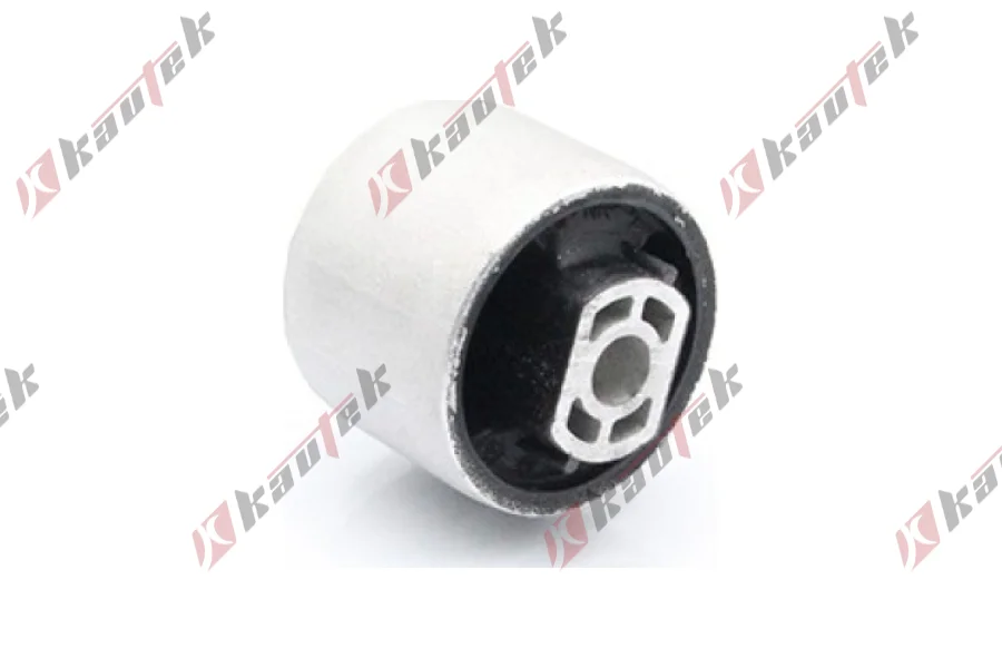 SALINCAK DENGE KOL BURCU, ARKA