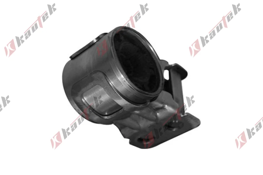 SALINCAK BURCU BUYUK