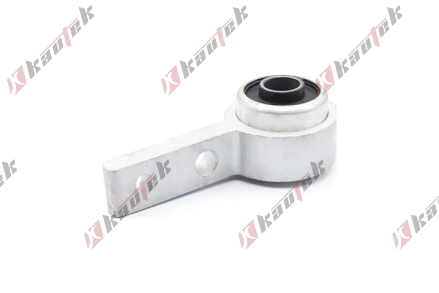 SALINCAK BURCU, BUYUK SAG