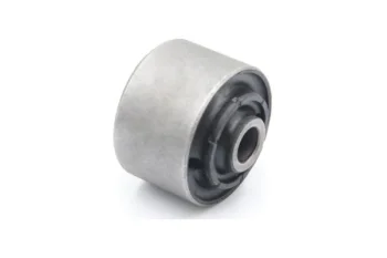 SALINCAK - DENGE KOLU BURCU, ARKA SAG / SOL