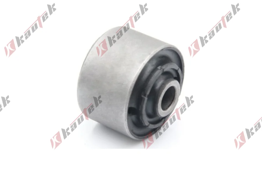 SALINCAK - DENGE KOLU BURCU, ARKA SAG / SOL