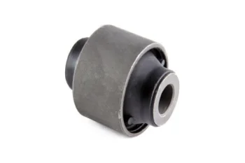 SALINCAK DENGE KOL BURCU, ARKA