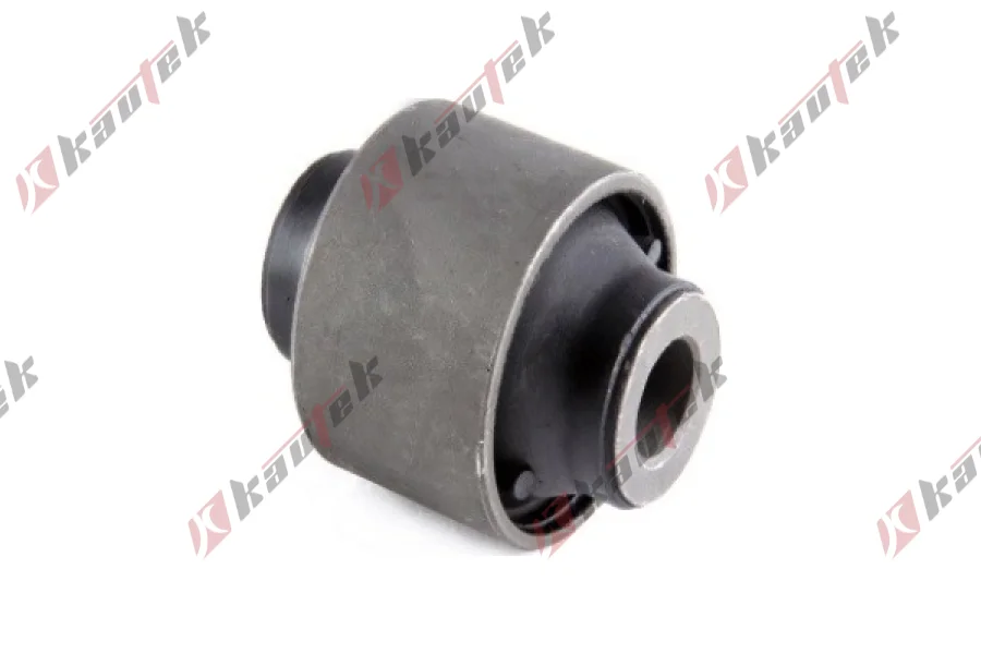 SALINCAK DENGE KOL BURCU, ARKA