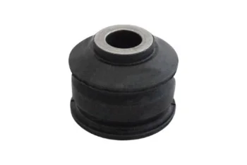 SALINCAK BURCU, ARKA