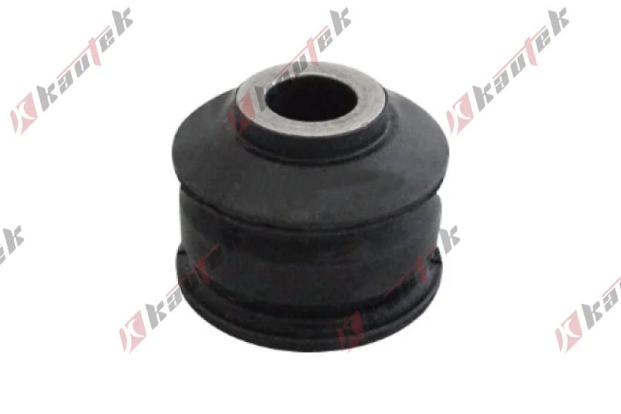 SALINCAK BURCU, ARKA