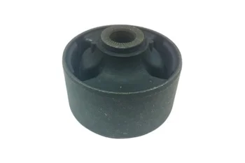 SALINCAK BURCU BUYUK