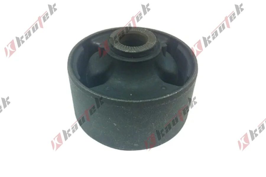 SALINCAK BURCU BUYUK