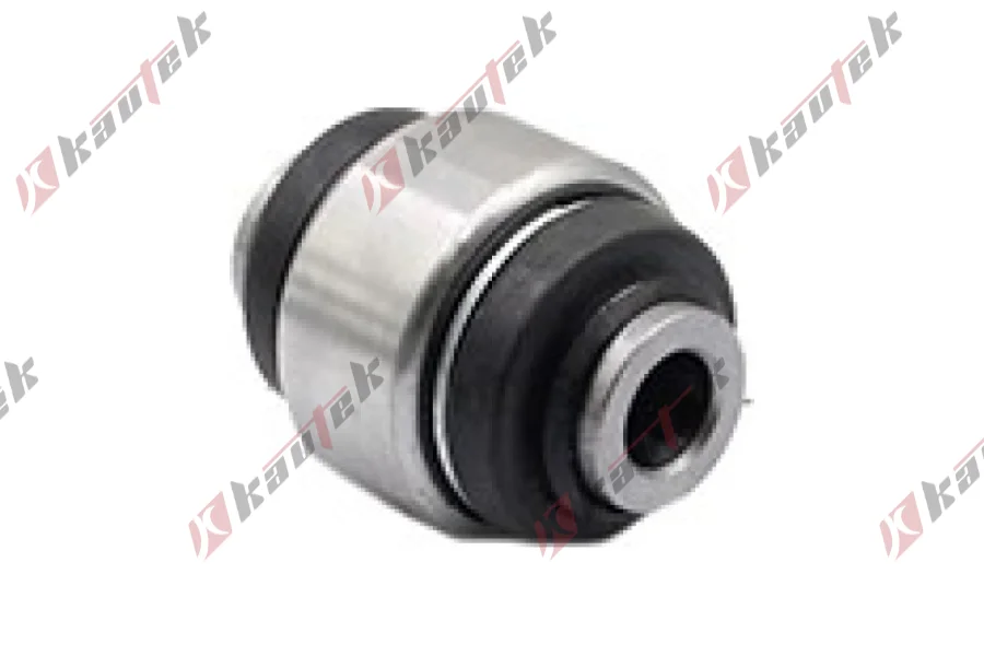 SALINCAK - DENGE KOLU BURCU, ARKA