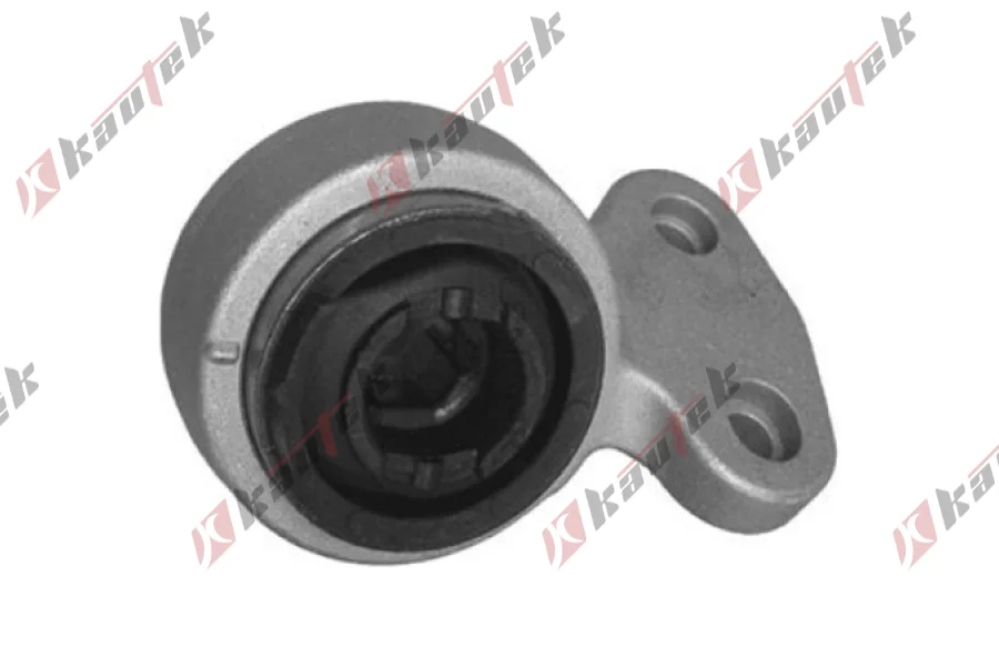 SALINCAK BURCU BUYUK SOL