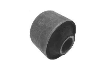 SALINCAK DENGE KOL BURCU, ARKA