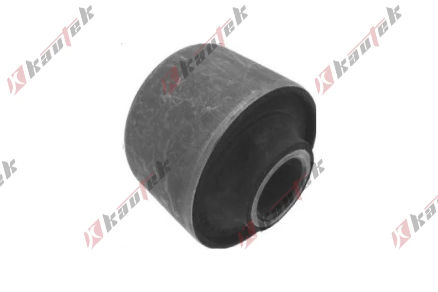 SALINCAK DENGE KOL BURCU, ARKA