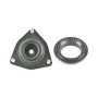 STRUT MOUNTING WITH BEARING