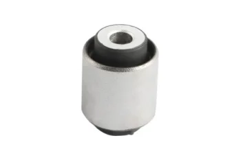 SALINCAK DENGE KOL BURCU, ARKA