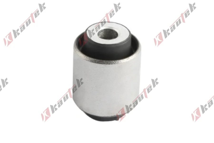 SALINCAK DENGE KOL BURCU, ARKA